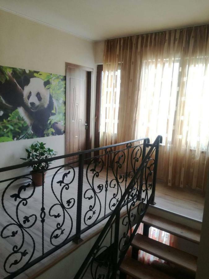 ホテル Happy Pandasn12 ボルジョミ エクステリア 写真